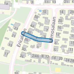 Ranonkelpad