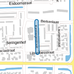 Kastanjestraat