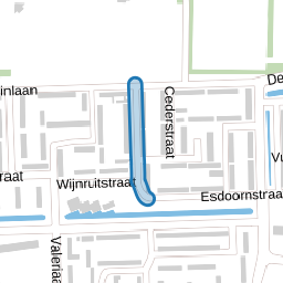 Madeliefstraat