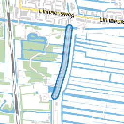 Wilgenlaantje