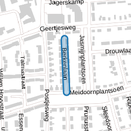 Berkenlaan