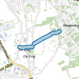 Buissteeg