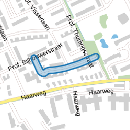 Prof. Kraaijenhagenstraat