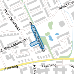 Prof. Thurlingsstraat