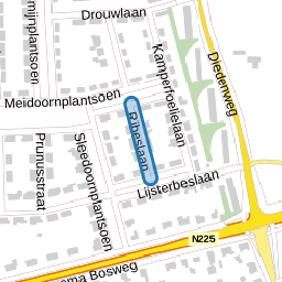Ribeslaan