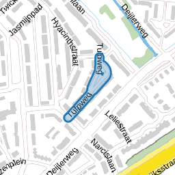 Tulpweg