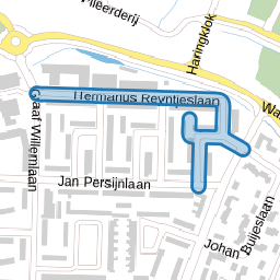 Hermanus Reyntjeslaan