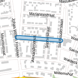 Anna Paulownastraat