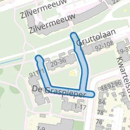 De Graspieper