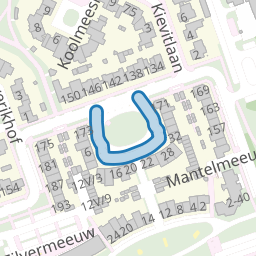 Kokmeeuw