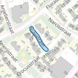 Tulpstraat