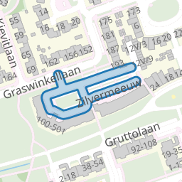 Zilvermeeuw