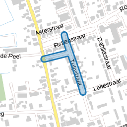 Tulpstraat