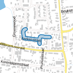 Berkenstraat