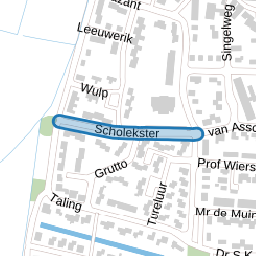Scholekster