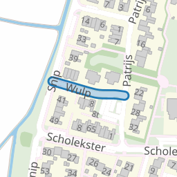 Wulp