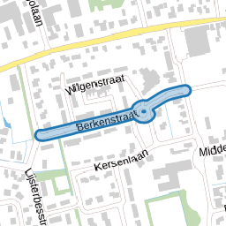 Berkenstraat