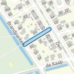 Boterbloem