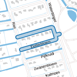 Dotterbloem