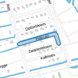 Pijlkruid