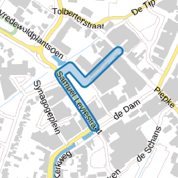 Samuël Leviestraat