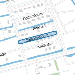 Zwanenbloem