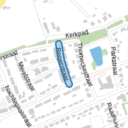 Reigerstraat
