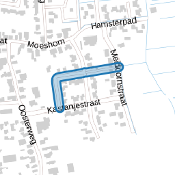 Lindestraat