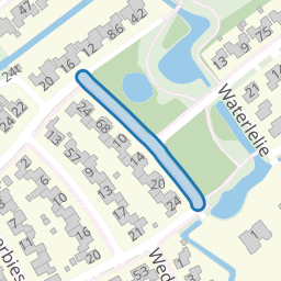 Watermunt