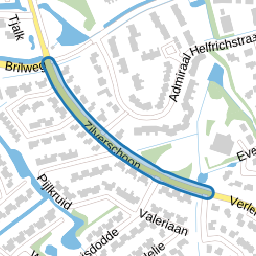 Zilverschoon