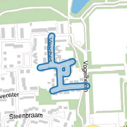 Veenbes