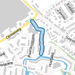 Boterbloem