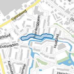 Pinksterbloem