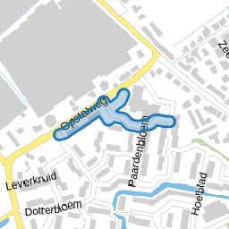 Wollegras