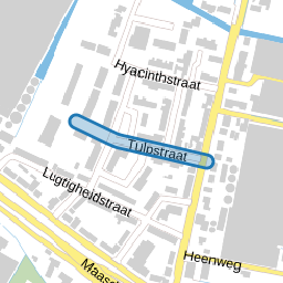 Tulpstraat
