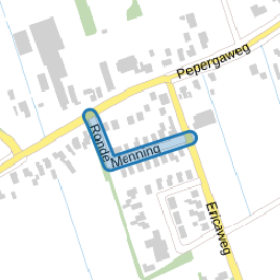 Ronde Menning