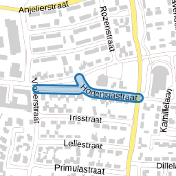 Hortensiastraat