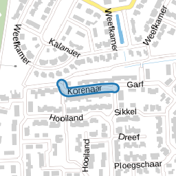 Korenaar