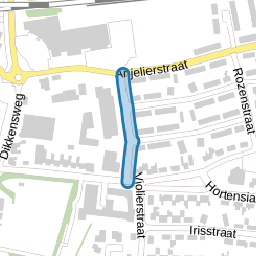 Tulpenstraat