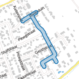 Dorsvlegel