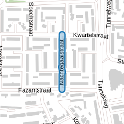 Nachtegaalstraat