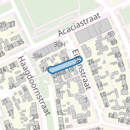 Wilgenpad