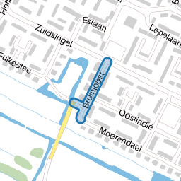 Bruinjoost