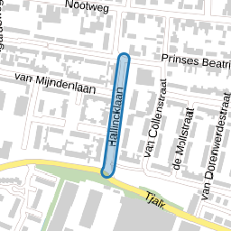 Hallincklaan