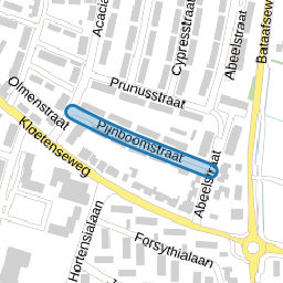 Pijnboomstraat