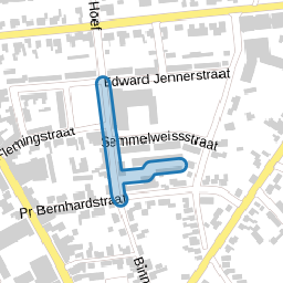 Robert Kochstraat