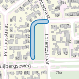 van 't Hoffstraat
