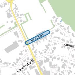 Veenbes