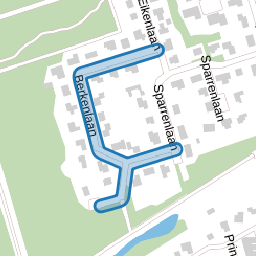 Berkenlaan