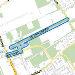 Koppelstraat